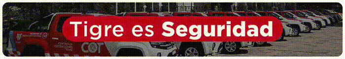 TIGRE ES SEGURIDAD SUPERIOR - OCTUBRE 2026